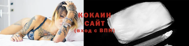 гашик Баксан