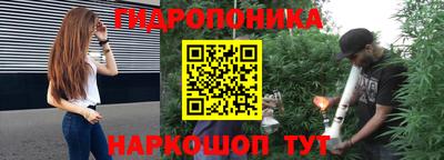 мяу мяу мука Кингисепп