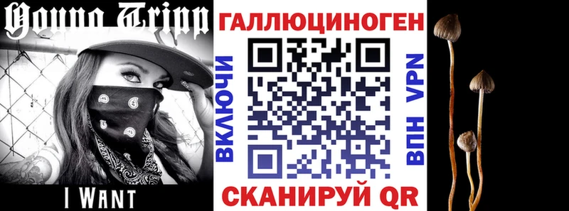 Галлюциногенные грибы Cubensis Луховицы