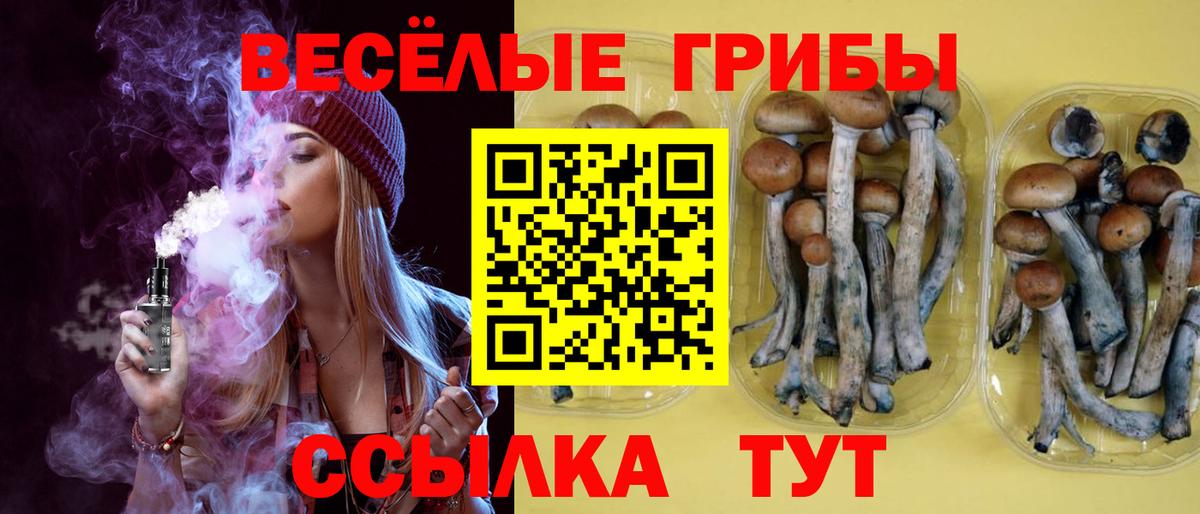 Галлюциногенные грибы ЛСД Луховицы